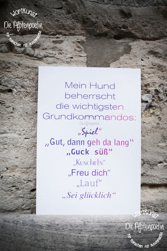 Hartschaum-Schild DIN A 5 - Grundkommandos